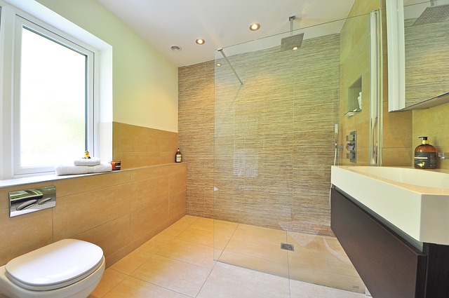 Mold Remediation Bathroom Solutions