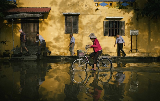 Flood clean up services