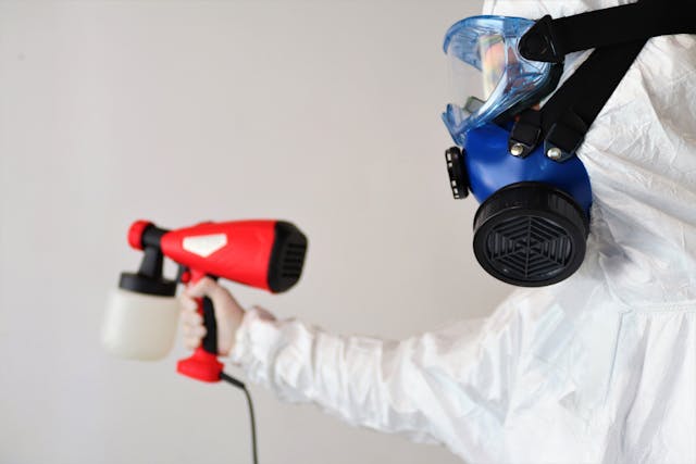 Black Mold Abatement