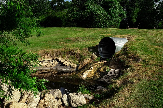 Cleaning up sewage