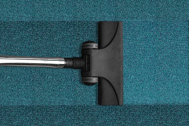 Best Carpet Cleaning Solutions for Every Home
